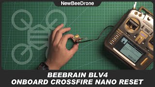 BeeBrain BLV4 Crossfire Nano Receiver Reset [upl. by Nired]