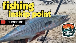 inskip point fishing [upl. by Notlrak]