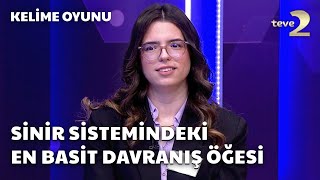 Sinir Sistemindeki En Basit Davranış Öğesi  Kelime Oyunu [upl. by Calvo238]