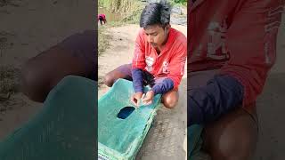 আজকে আমি ফলের ক্যারেট দিয়ে মাছ পেলাম না shorts short minivlog shortvideo [upl. by Darill]