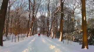 Winterzauber im Lütetsburger Park [upl. by Eeladnerb920]