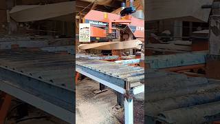 Wood for home depot lumber lumberjack woodmizer logosol norwood youtubeshorts video ytshorts [upl. by Emiatej]