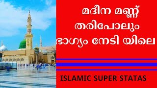 മദീന മണ്ണ് തരിപോലും ഭാഗ്യം നേടി യിലെIslamic Super StatasMalayalam StatasMappila SongStatas Song [upl. by Oigimer]