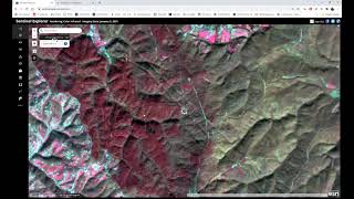 Sentinel and Landsat data processing in ArcGIS Pro [upl. by Winebaum]