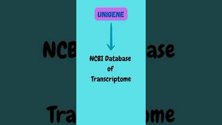 Unigene shorts unigene bioinformatics ytshorts ncbi database youtube pritiduhanofficial live [upl. by Egan]