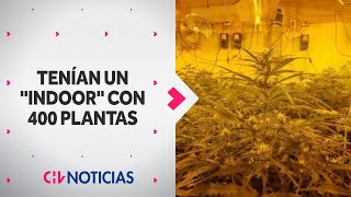 Así era el quotINDOORquot de marihuana incautado en Pudahuel Tenían hasta extractores de aire [upl. by Scutt935]