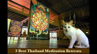 Meditation RETREATS in Thailand  3 Best Retreat Options at Wats Temples in Thailand [upl. by Neda]