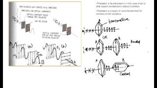 Introduction to Polarization Theory of Polarization Polarization of light [upl. by Nicram]