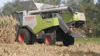 Claas Trion 650 NEW FIRST IN SLOVENIA [upl. by Elaine]