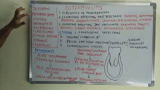 Osteomyelitis  etiopathogenesis and classification [upl. by Arno]