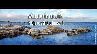 Väck liv i Östersjön [upl. by Lifton816]