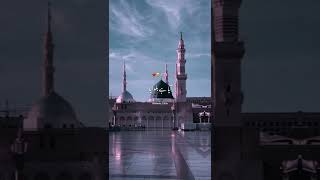 Paigham Saba Lai Hai Darbar Nabi Se🥹  Beautiful Naat WhatsApp Status  Islamic Edits💫 shorts [upl. by Huberto]