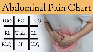 9 and 4 abdominal anatomical regions [upl. by Launame]