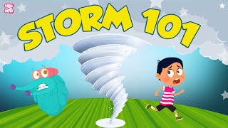 Storm 101  Tornadoes Hurricanes amp More  The Dr Binocs Show  Peekaboo Kidz [upl. by Aralc]