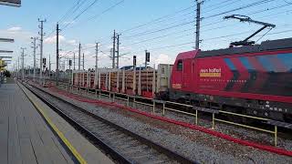 Sichtung aus Marchtrenk Railpool Stern und Hafferl 187 3330 mit einem Holzwagen Richtung Salzburg [upl. by Haduj527]