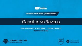 Gansitos vs Ravens  Voleibol de sala  Torneo de Liga [upl. by Rivard35]