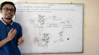 Sains Tahun 2  Urutan Tumbesaran Tumbuhtumbuhan 3042020 [upl. by Mohn]