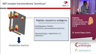 Péptidos natriuréticos nuestra protección endógena frente a la IC [upl. by Ecissej305]