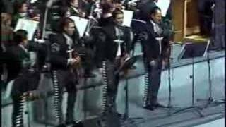 MARIACHI VARGAS DE TECALITLAN POPURRI VERACRUZANO [upl. by Ynattirb481]