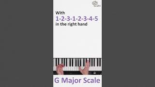 Learn Scales the G Major Scale [upl. by Artenahs867]