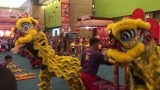 PreCNY 2024  Acrobatic Lion Dance by 光藝 Kwong Ngai at Tastefully Food Expo Mid Valley [upl. by Stalk]