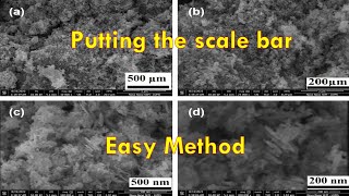 How to put the scale bar on SEM and TEM images  TEMSEM data analysis [upl. by Nuhsar935]