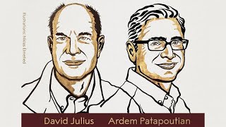 Nobel Prize in Physiology or Medicine awarded to David Julius and Ardem Patapoutian [upl. by Timms711]