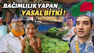 Bu NASIL PAZAR  Dünyanın EN EGZOTİK YERİNDEYİM Dakka Bangladeş 🇧🇩 [upl. by Notreve959]