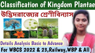 Classification of Kingdom Plantae in BengaliPlant Kingdom Classification in BengaliWBCSRailwayIX [upl. by Ilanos580]