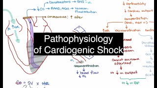 Pathophysiology of Cardiogenic Shock [upl. by Mainis439]