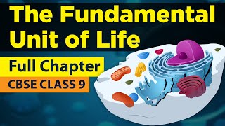 Class 9 Biology Chapter 1  The Fundamental Unit of Life Full Chapter Explanation [upl. by Eustache578]