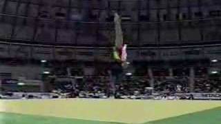 Mo Huilan  1995 Worlds Team Optionals  Floor Exercise [upl. by Hinman]