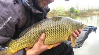 Fishing The Method Feeder wilden pool Kidderminster [upl. by Nesral]