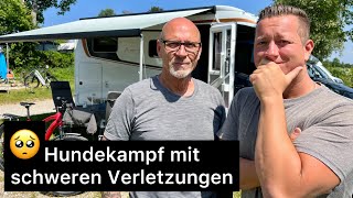 Mario zeigt uns den neuen Bürstner Lyseo M Harmony Line  Hubbett  Mercedes Benz [upl. by Ayhdiv]