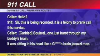 Crazy Killer Squirrel Attack 911 Call [upl. by Maury147]