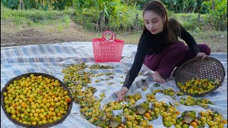 Fresh jujube in my countryside and cook food recipe  Polin lifestyle [upl. by Fennelly434]