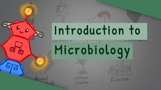 Introduction To Microbiology [upl. by Westbrook]