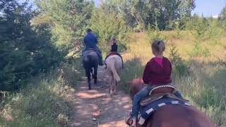 “Cochise” gelding state park [upl. by Gabriela]