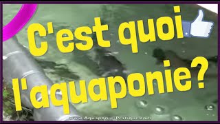 Aquaponie Explication Dun Système DAquaponie en Pratique [upl. by Arihay]