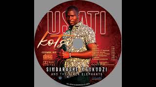 Simbarashe Mtukudzi Latest song Murudo [upl. by Anton]