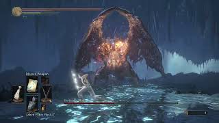 Dark Souls 3 Midir vs Hobo John Souls took forever [upl. by Neelyad]