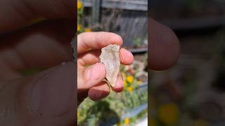 Beautiful botryoidal druzy geode cut open from Redcliffe thefinders crystals [upl. by Alleb]