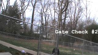 Bernese Mountain dog jumps fence [upl. by Alesram]