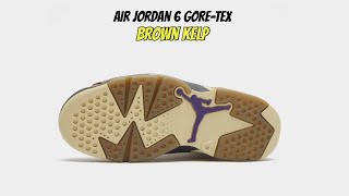 Air Jordan 6 GORETEX Brown Kelp [upl. by Russian]