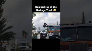 Dog Barking at the Garbage Truck 😂 [upl. by Aynod406]