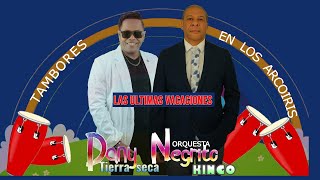 LAS ULTIMAS VACACIONES  NEGRITO KINGO DANY TIERRA SECA [upl. by Bein]