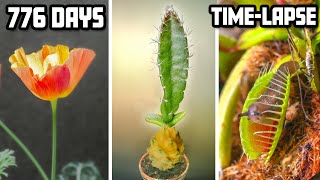 776 Days Growing Plants Timelapse Compilation in 8 Mins [upl. by Ludmilla781]