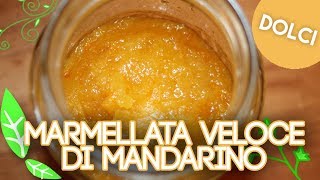 Marmellata VELOCE al mandarino ricetta concentrataricetteflash [upl. by Hodge]