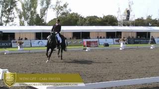 WDM Hickstead 2011  Carl Hesters ride 2nd place in Exquis Grand Prix Freestyle [upl. by Grefer466]