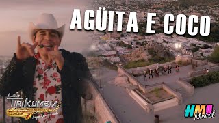 Agüita e Coco En Vivo  Loz Tirikumbia [upl. by Harragan865]